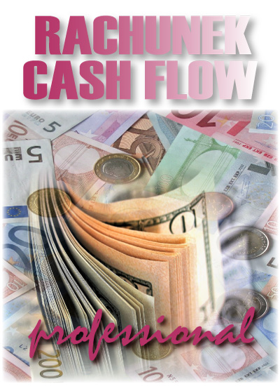 program-rachunek-cash-flow-professional