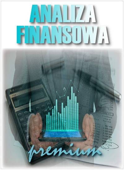 program-analiza-finansowa-premium